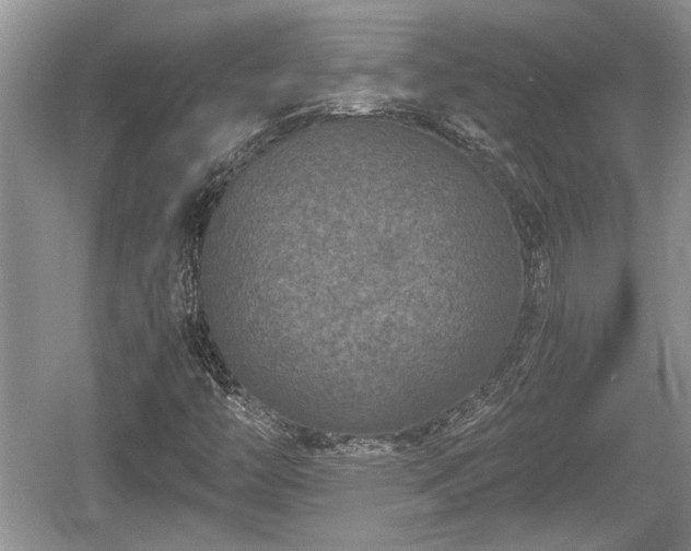 X0000061721446200512050854