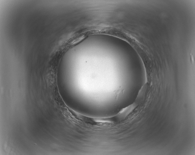 X0000061721447200512050854