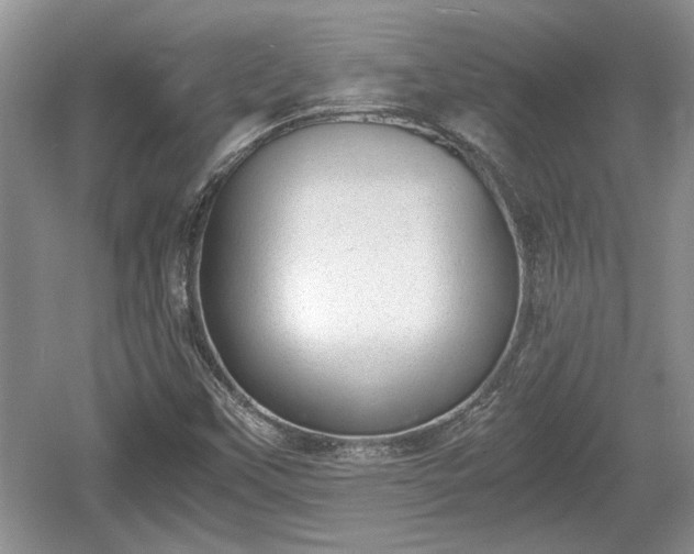 X0000061721451200512050853