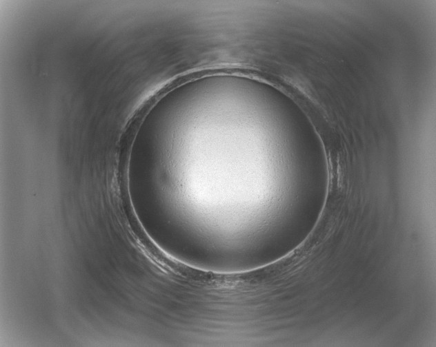 X0000061721452200512050853