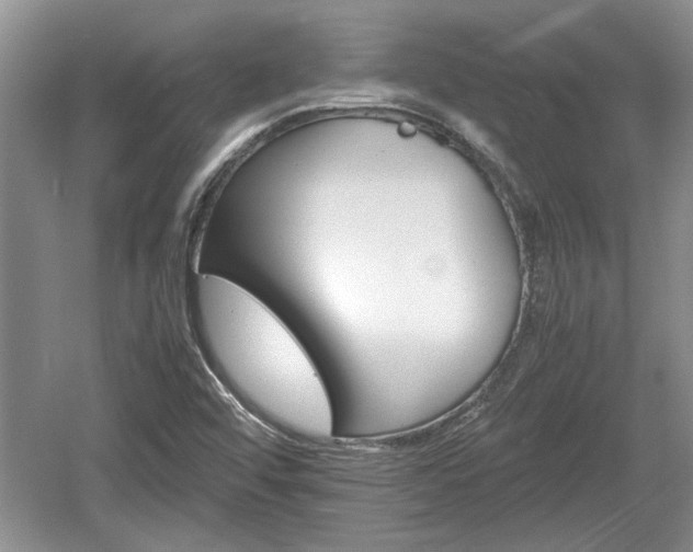 X0000061721456200512050853