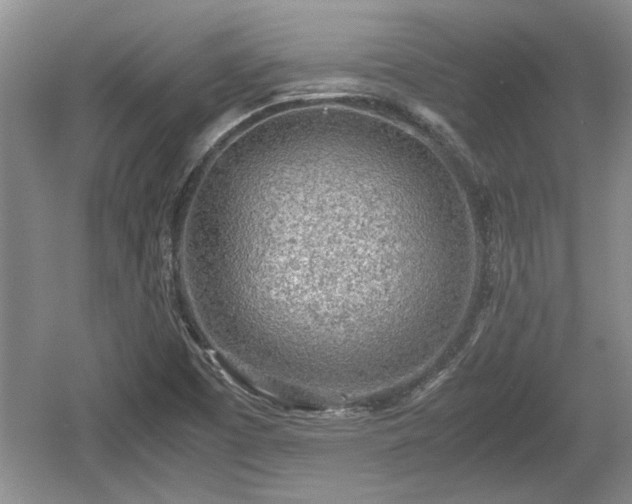 X0000061721457200512050853