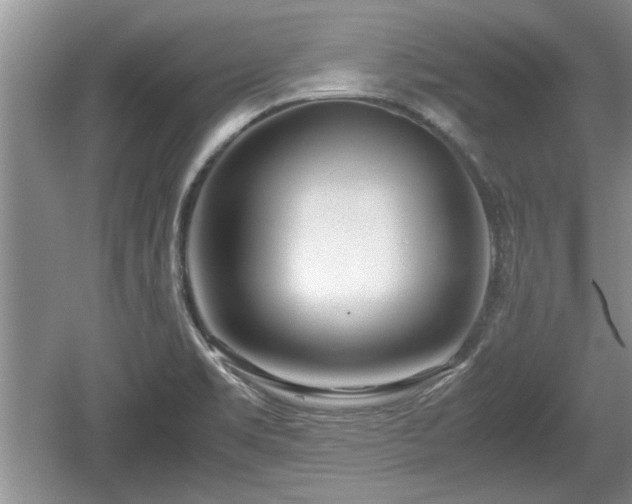 X0000061721469200512050853