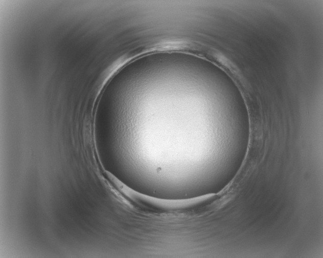 X0000061721473200512050853