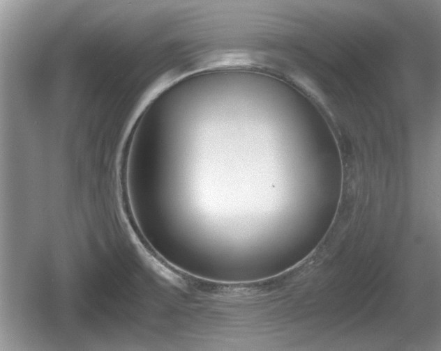 X0000061721475200512050853