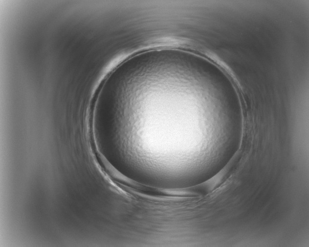 X0000061721477200512050853