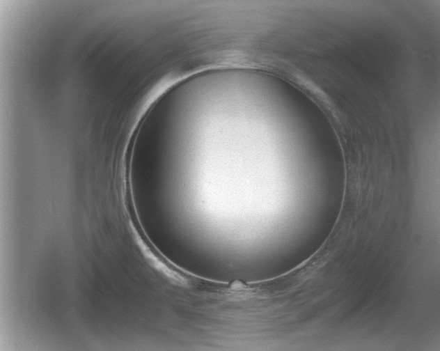 X0000061721479200512050853