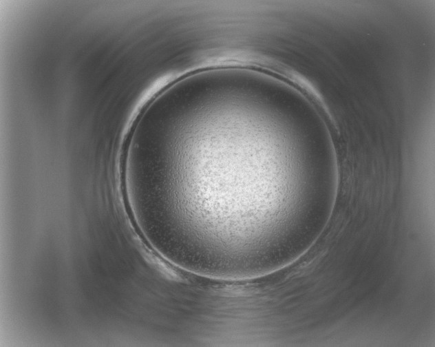 X0000061721480200512050853