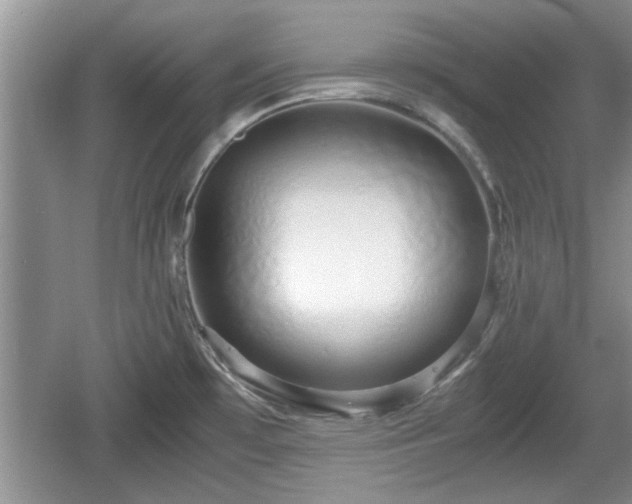 X0000061721481200512050853