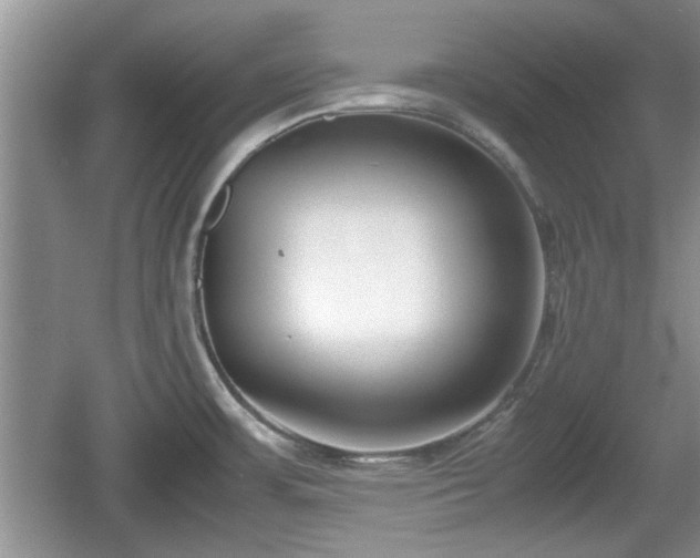 X0000061721483200512050853