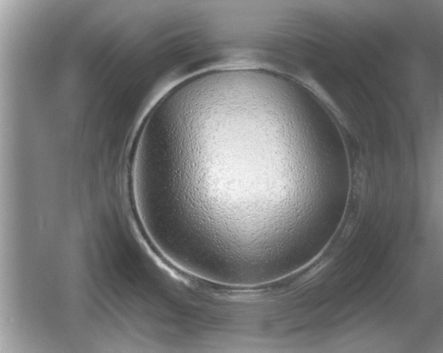 X0000061721484200512050853