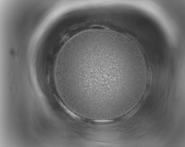 X0000061721487200512050853