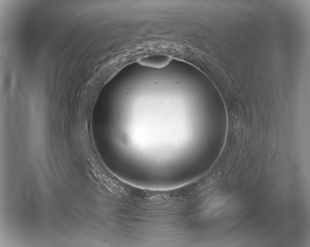 X0000061721489200512050852