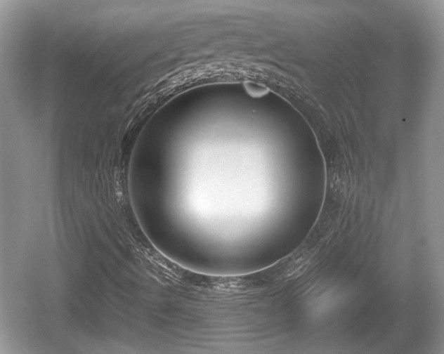 X0000061721490200512050852