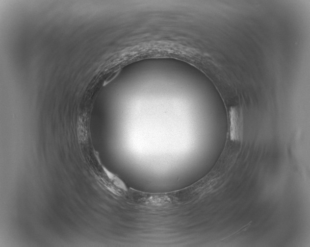 X0000061721491200512050852