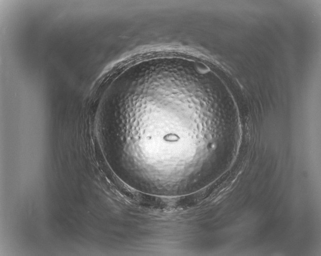 X0000061721494200512050852