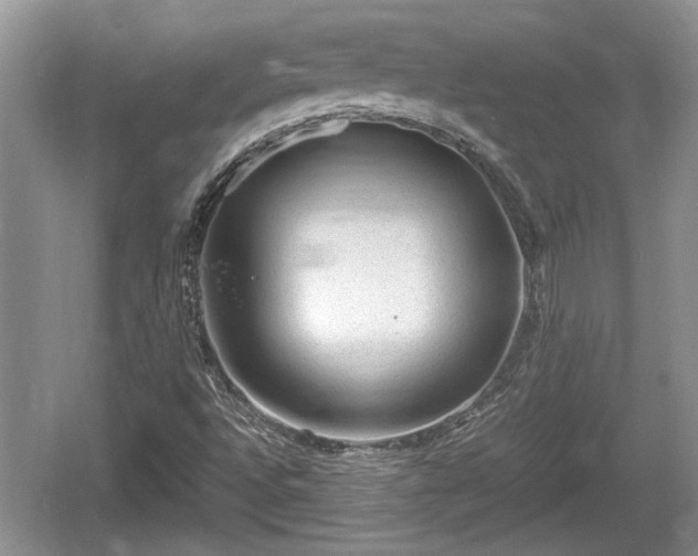 X0000061721496200512050852