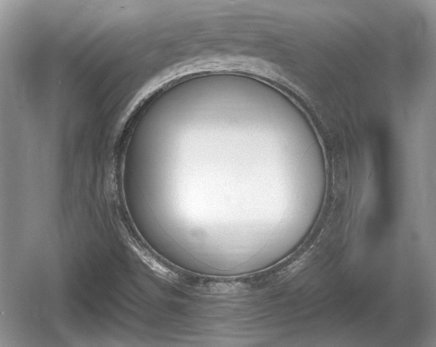 X0000061721498200512050852