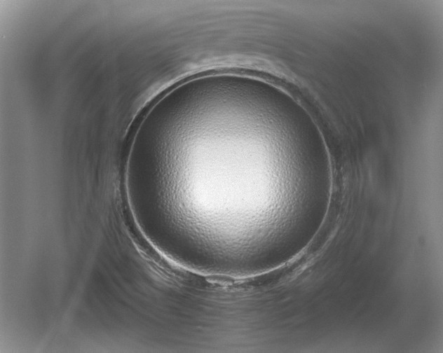 X0000061721505200512050852