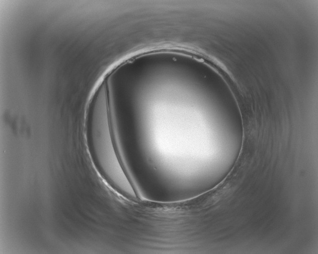 X0000061721508200512050852
