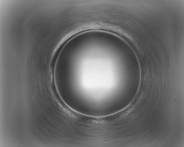 X0000061721509200512050852