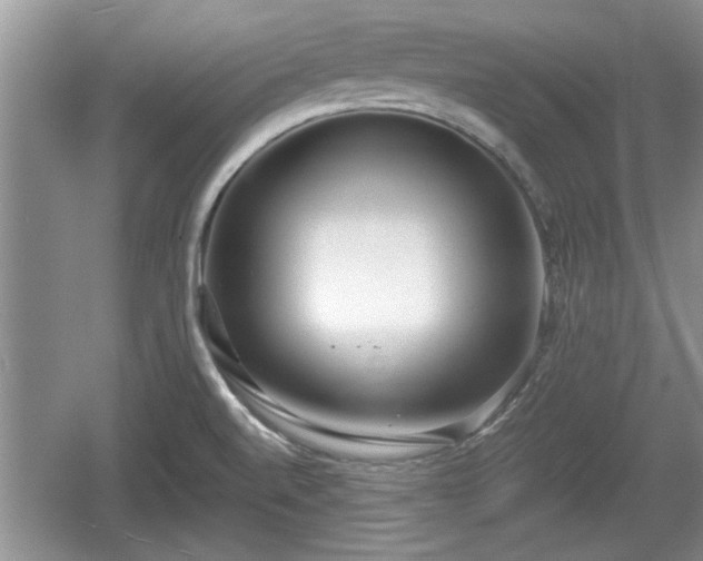 X0000061721520200512050853
