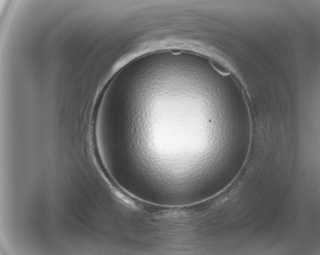 X0000061721525200512050853
