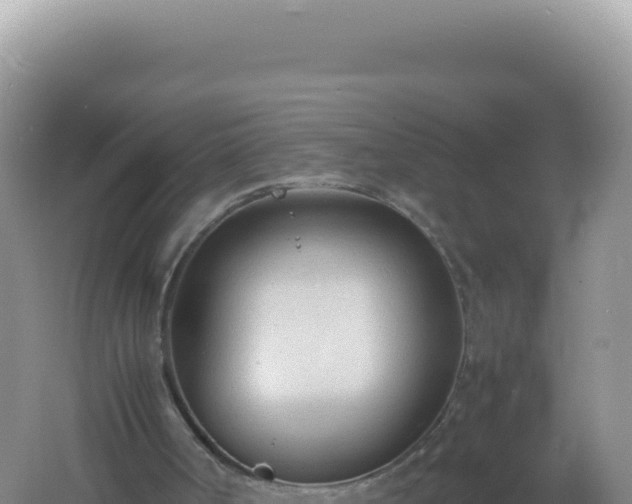 X0000061720002200512092012