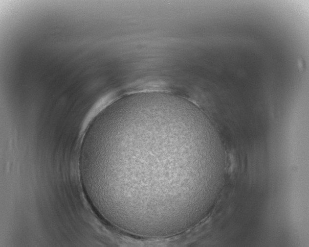 X0000061720004200512092012