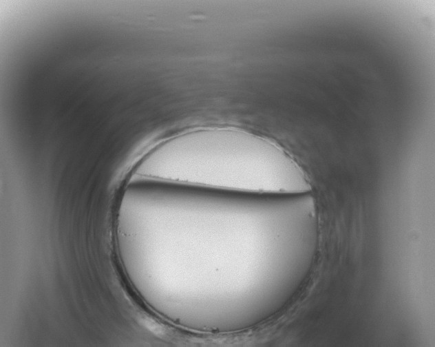 X0000061720005200512092012