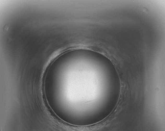 X0000061720006200512092012