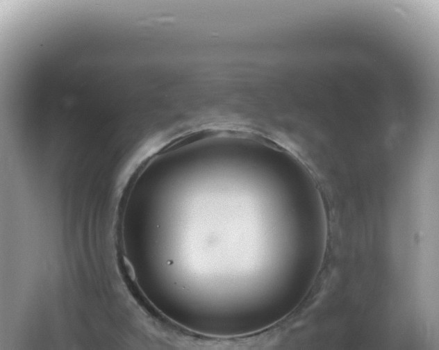 X0000061720007200512092012