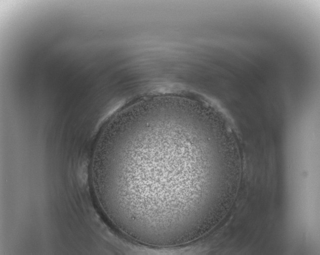 X0000061720010200512092012