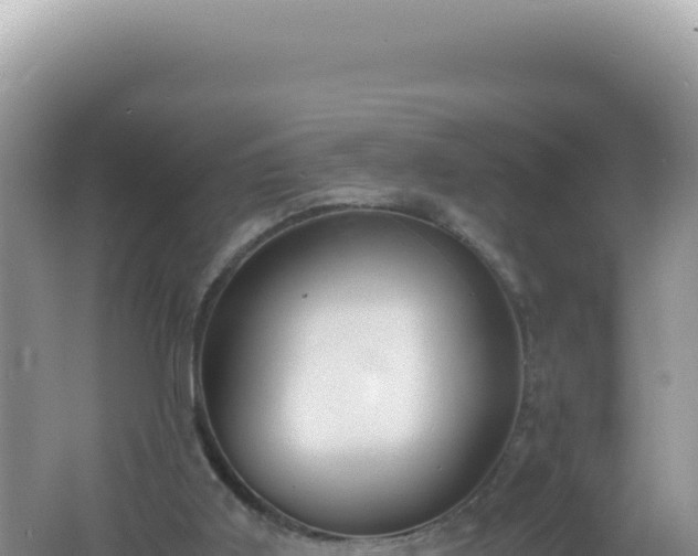 X0000061720011200512092012