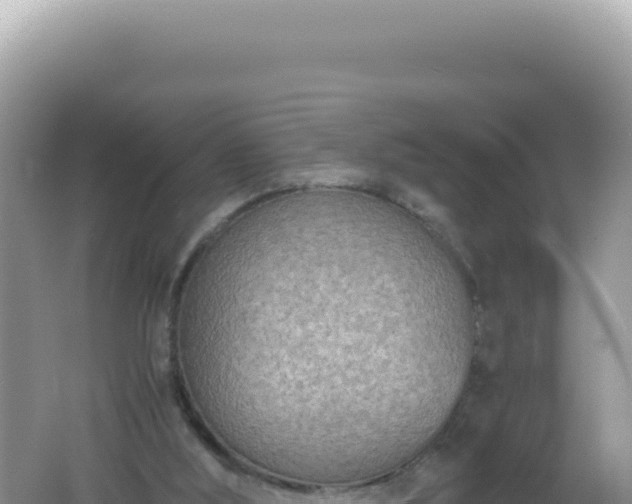 X0000061720012200512092012