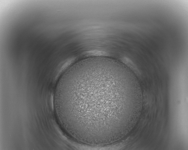 X0000061720014200512092012