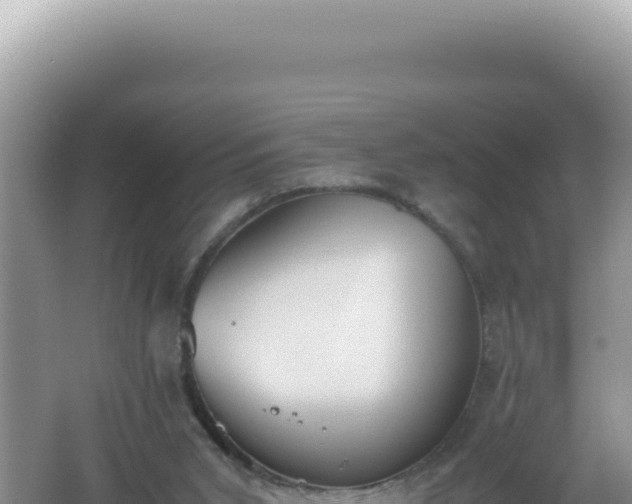 X0000061720015200512092012