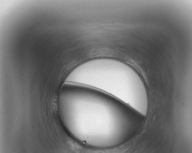 X0000061720017200512092012