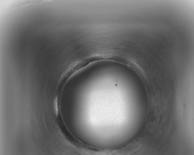 X0000061720020200512092012