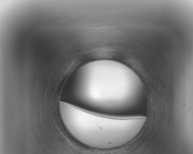 X0000061720021200512092012