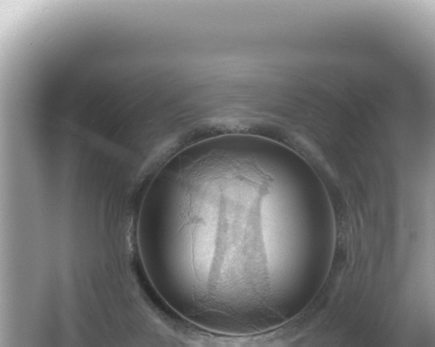 X0000061720023200512092012