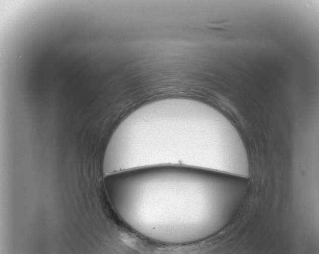 X0000061720025200512092012