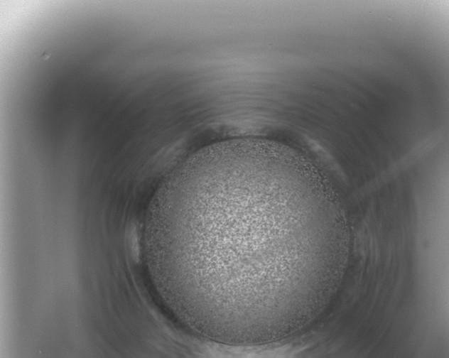 X0000061720026200512092012