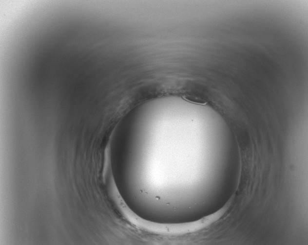 X0000061720033200512092012