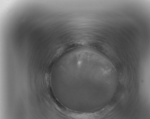 X0000061720036200512092012