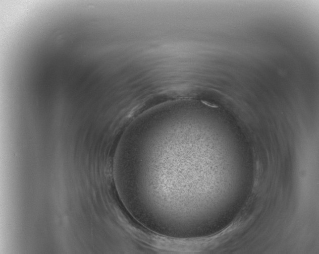 X0000061720048200512092012