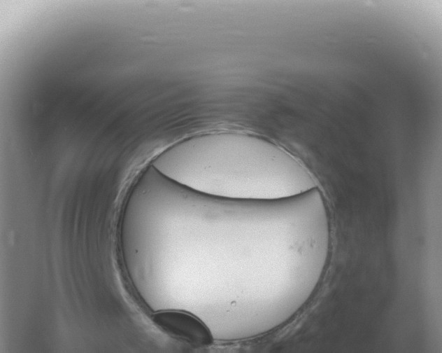 X0000061720049200512092011