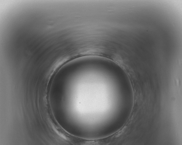 X0000061720050200512092011