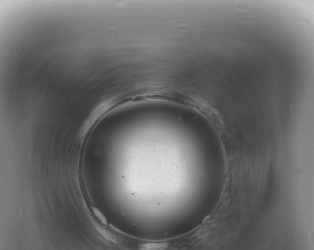 X0000061720051200512092011