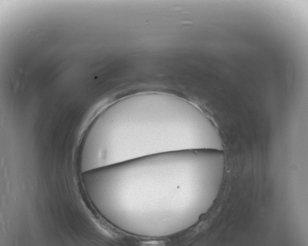 X0000061720053200512092011